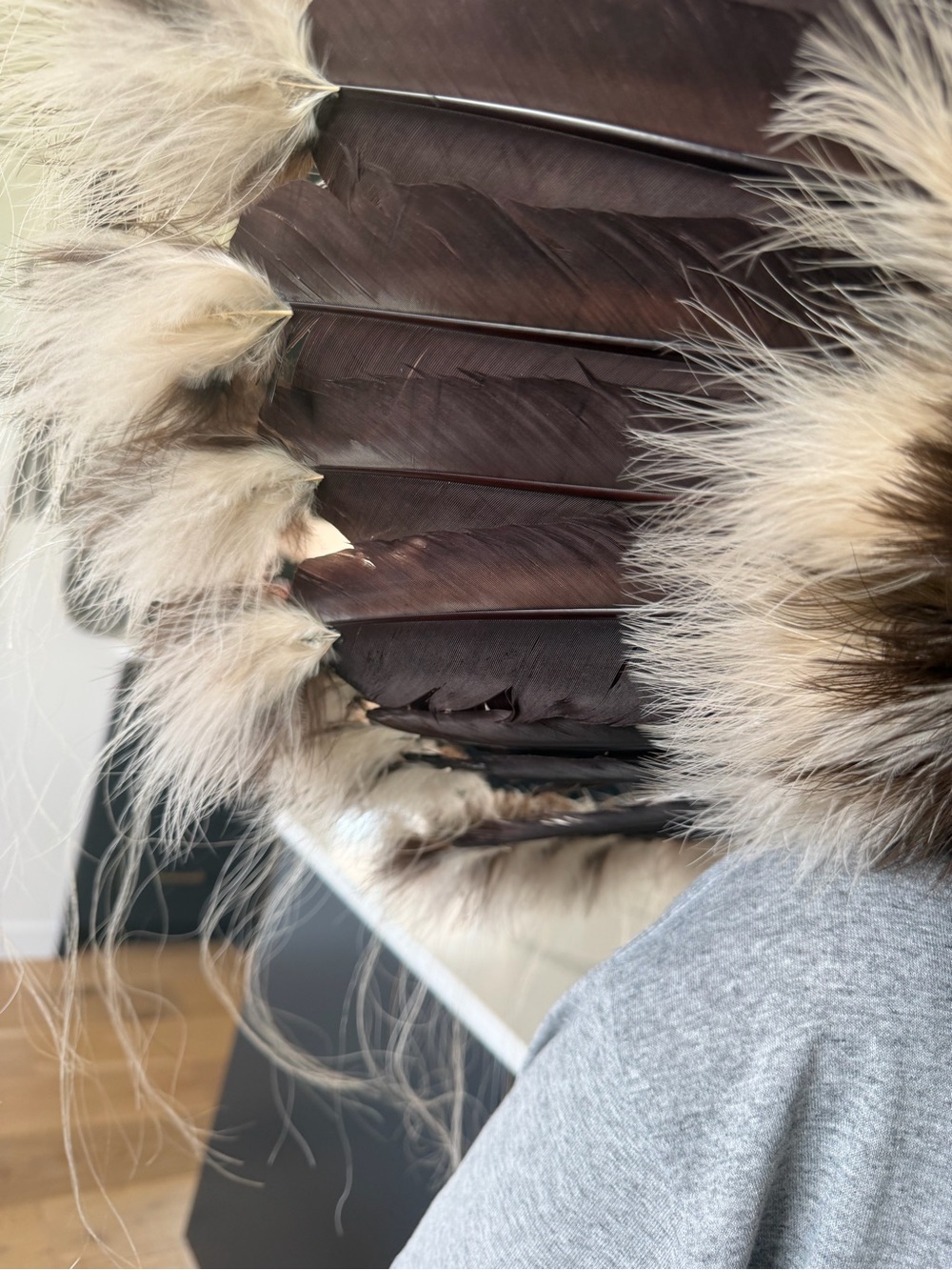 Navajo Coyote Eagle Feather Halo Headress - Picture 16 of 16